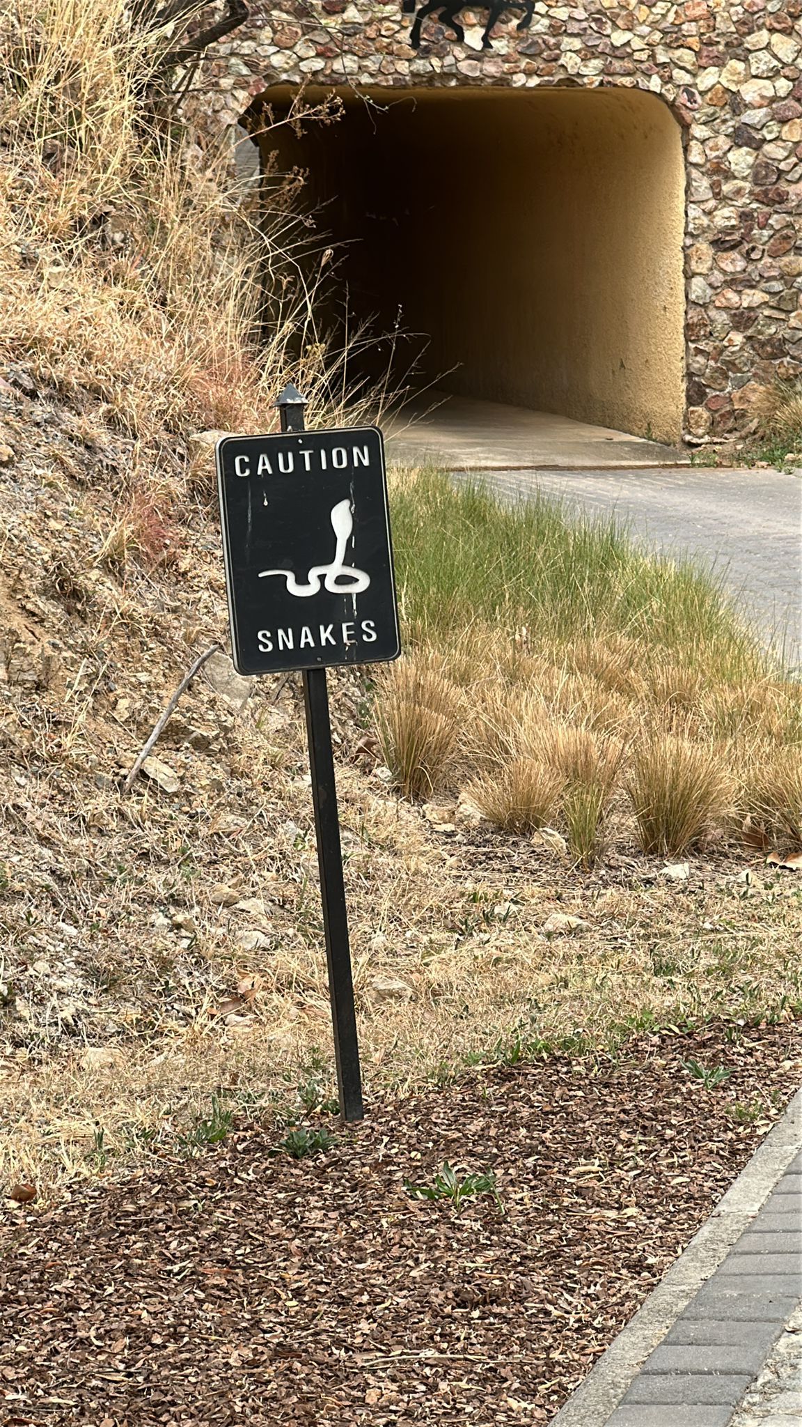 Gallery image 15